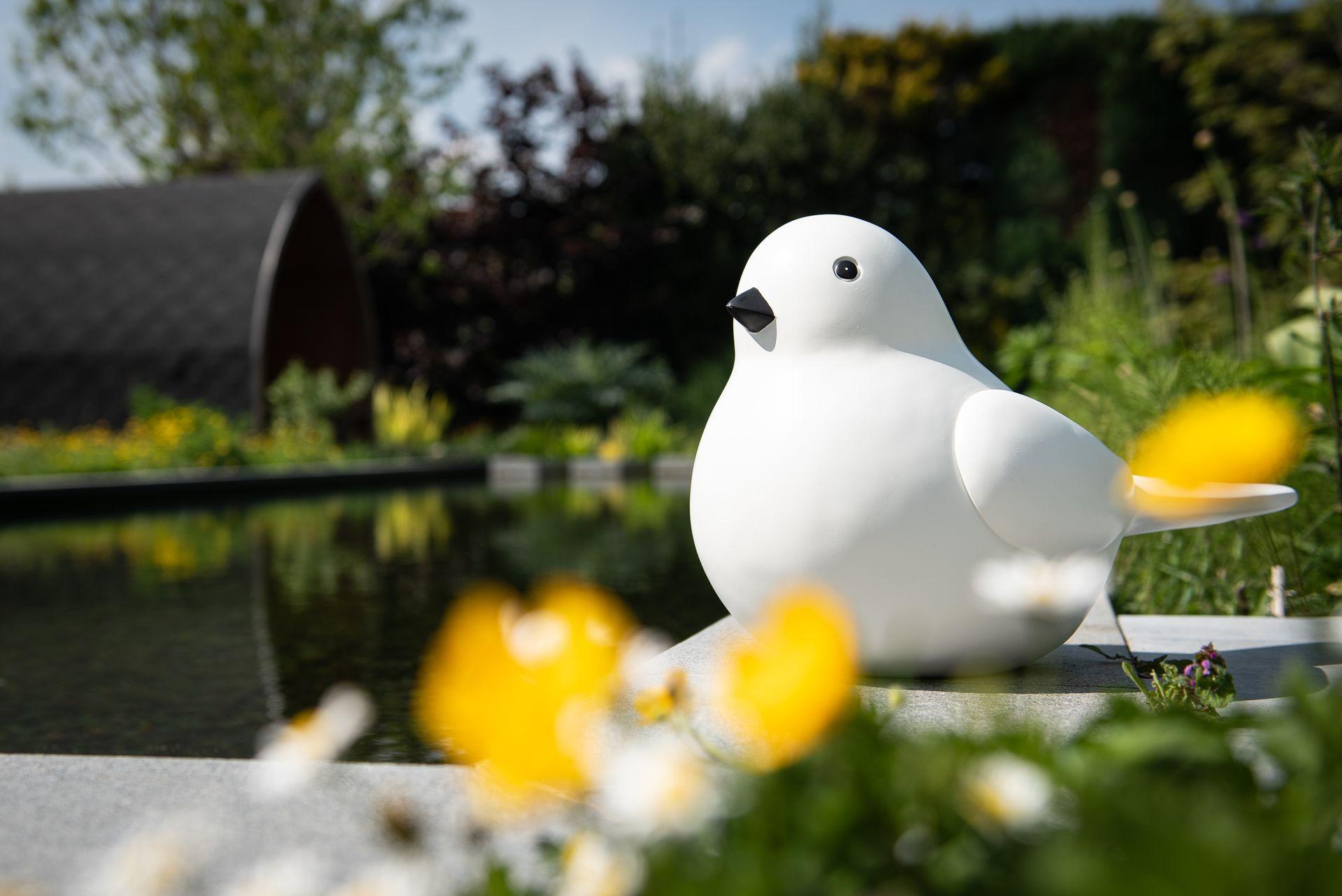 Statues of a modern white and black bird on a concrete slab next to a pond Garden ID