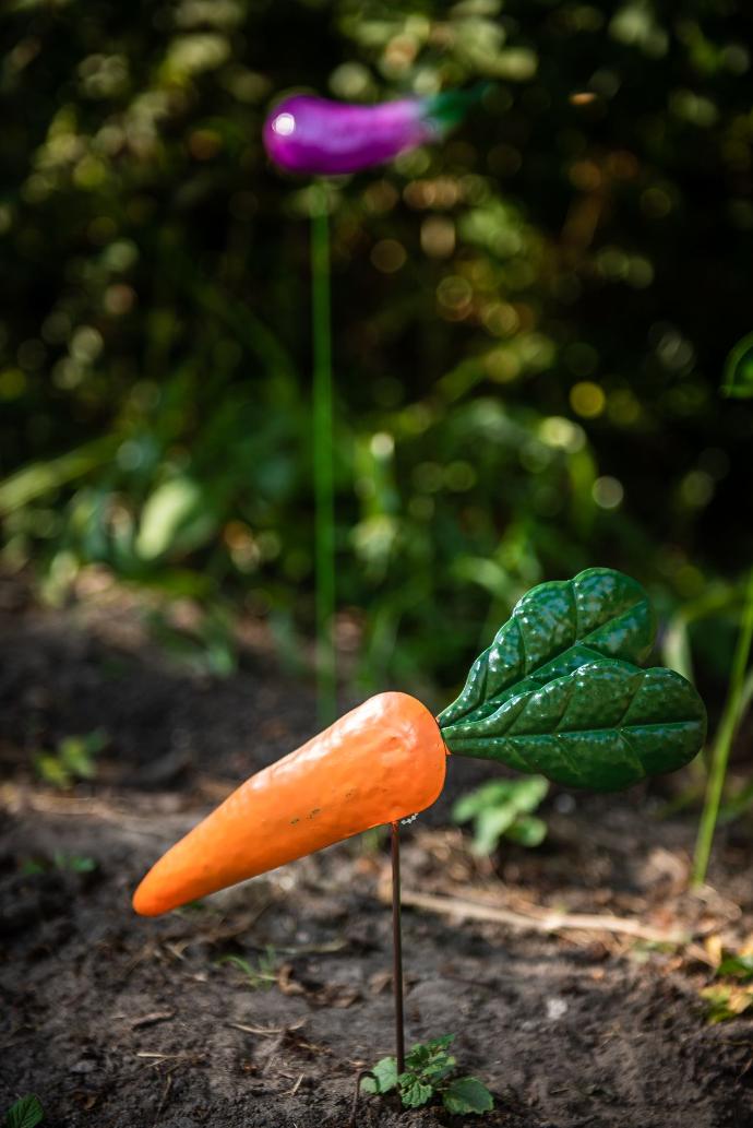 Metal pick with carrot for the vegetable garden Garden ID