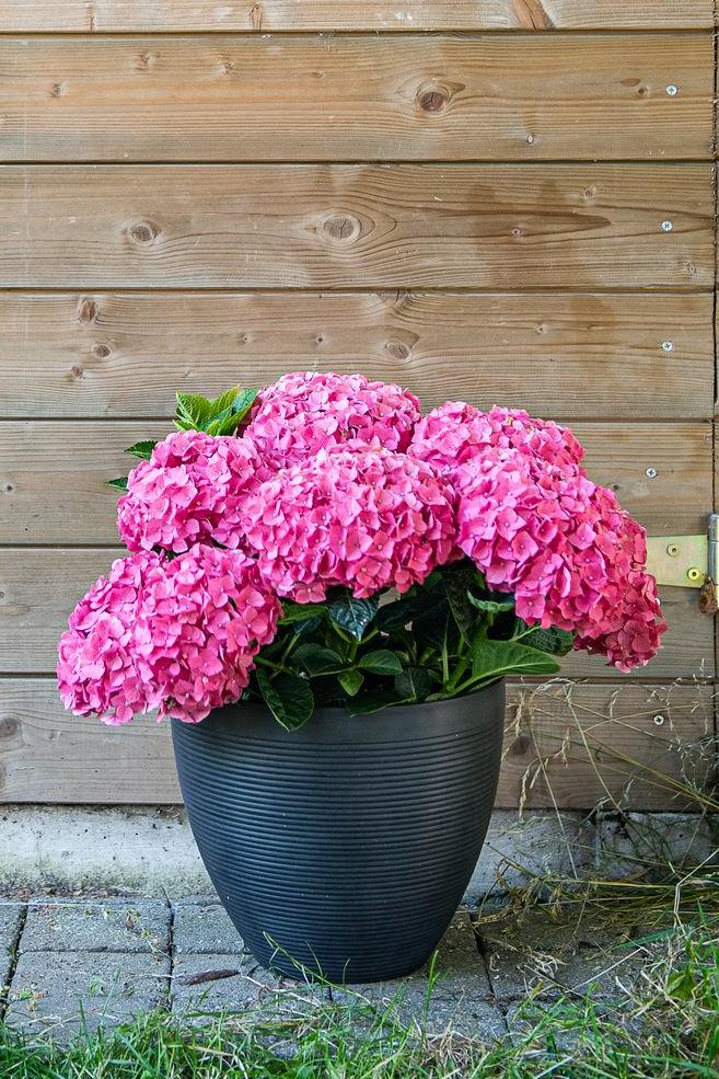 Garden ID pot à fleurs incassable, recyclé et recyclable Green Care