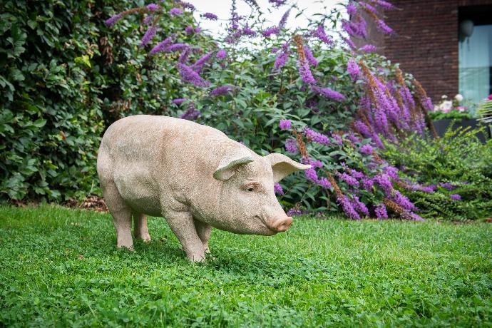 Garden ID statue pig