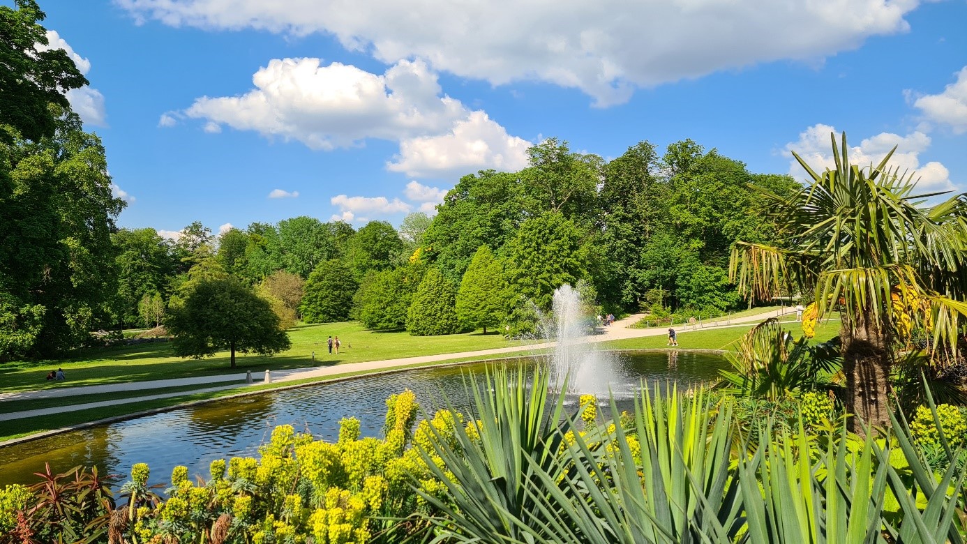 De plantentuin van Meise: een inspirerend bezoek voor alle tuinen