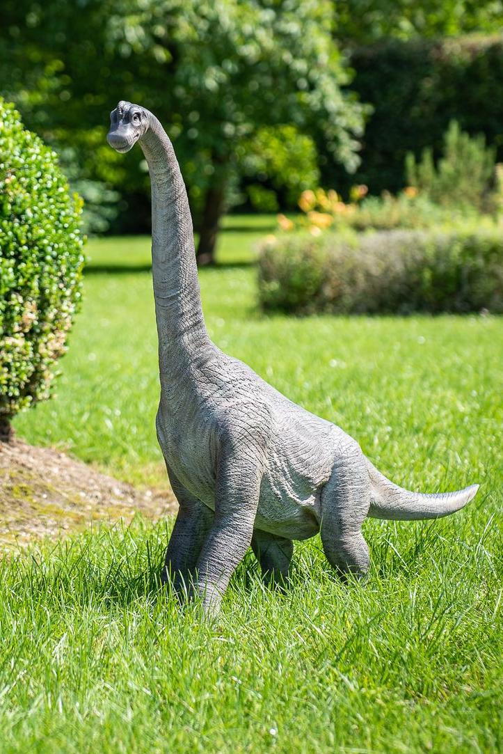 Een hyperrealistisch beeld van een brachiosaurus dinosaurus lopend in een tuin Garden ID